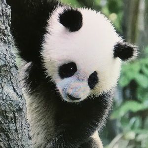 Meet your Posher, Natalia